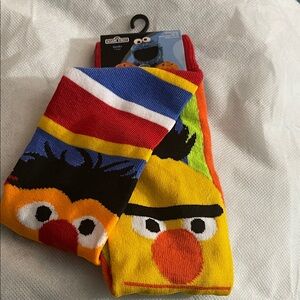 Bert and Ernie Colorful Striped Sesame Street Character Socks NWT